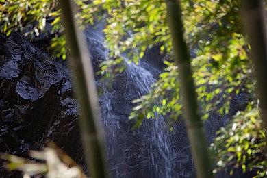 暴雪前CEO：索尼难以如愿吸引PC玩家转向PS5平台