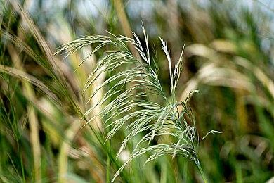 发售2年后 《对马岛之鬼》迎来了最后的补丁